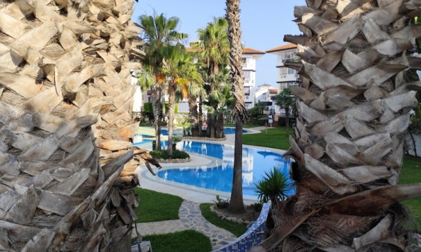 Venta - Apartamento piso -
Torrevieja