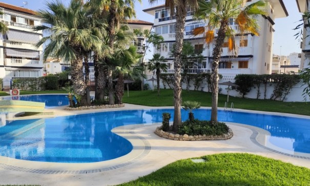 Venta - Apartamento piso -
Torrevieja