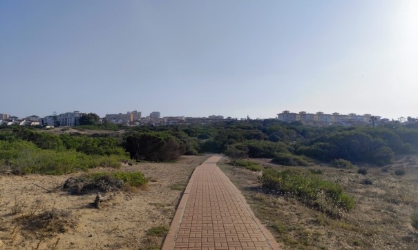 Venta - Apartamento piso -
Torrevieja