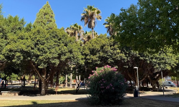 Sale - Apartment Flat -
Torrevieja - Acequion