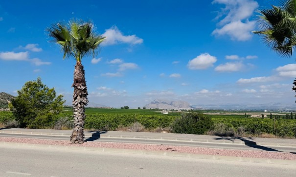 Herverkoop - Apartement Flat -
Algorfa