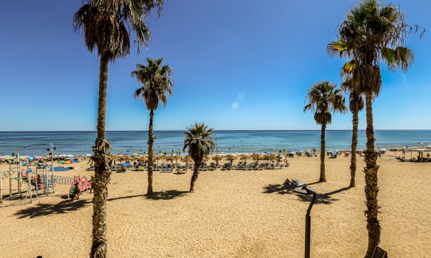 Videresalg - Lejlighed lejlighed -
La Mata