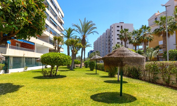 Sale - Apartment Flat -
Torrevieja - Rocio del mar