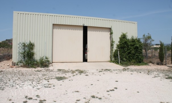 Sale - Finca Country Property -
Pinoso - Pinoso Alicante