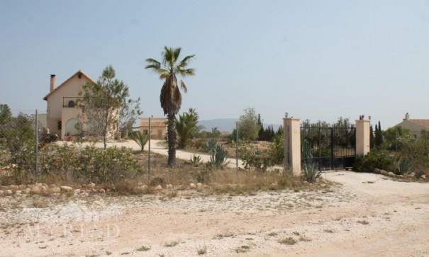 Sale - Finca Country Property -
Pinoso - Pinoso Alicante