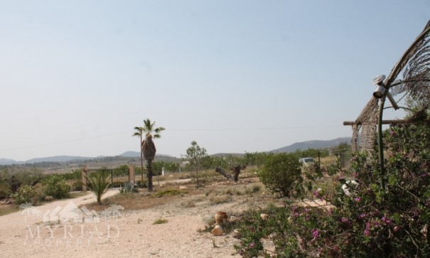 Sale - Finca Country Property -
Pinoso - Pinoso Alicante