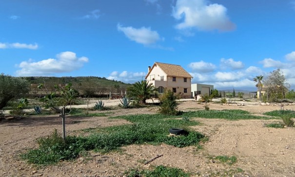 Sale - Finca Country Property -
Pinoso - Pinoso Alicante