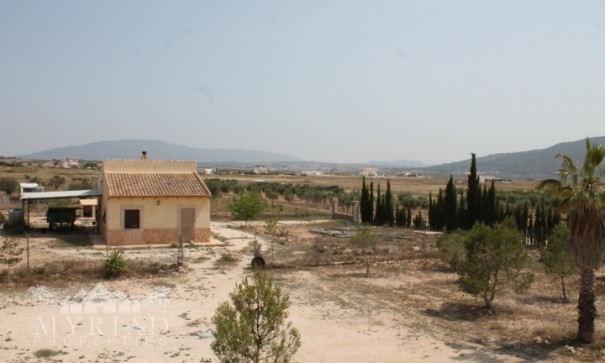 Sale - Finca Country Property -
Pinoso - Pinoso Alicante