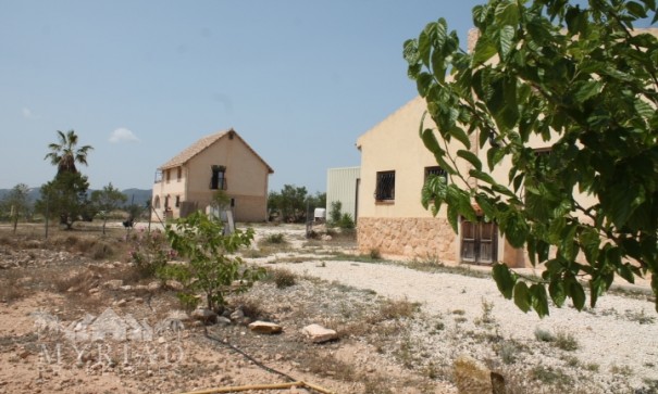 Sale - Finca Country Property -
Pinoso - Pinoso Alicante