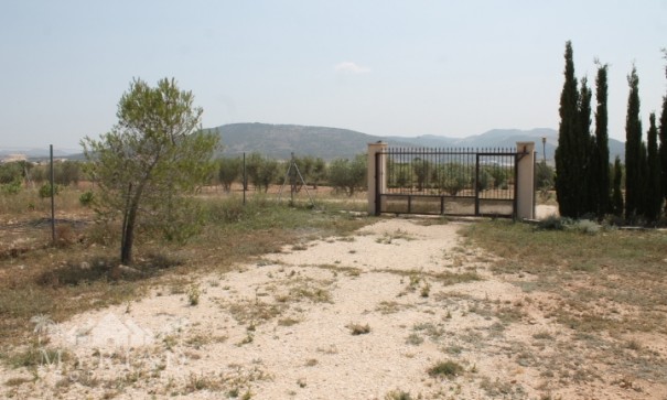 Sale - Finca Country Property -
Pinoso - Pinoso Alicante