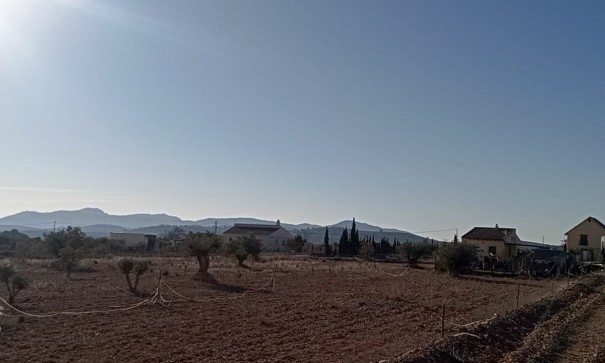 Sale - Finca Country Property -
Pinoso - Pinoso Alicante