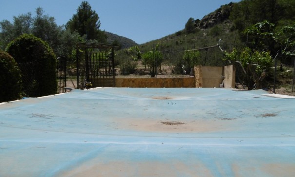 Resale - Freistehende Villa -
Yecla