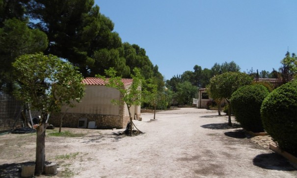 Resale - Freistehende Villa -
Yecla