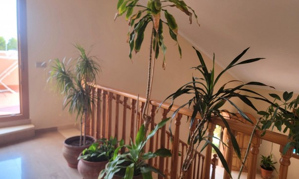 Sale - Detached Villa -
Torrevieja - Aguas Nuevas