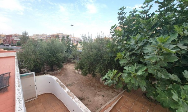 Sale - Detached Villa -
Torrevieja - Aguas Nuevas