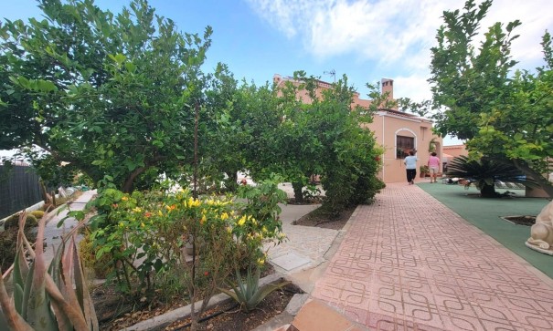 Sale - Detached Villa -
Torrevieja - Aguas Nuevas