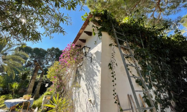 Sale - Detached Villa -
Orihuela Costa - Lomas De Cabo Roig