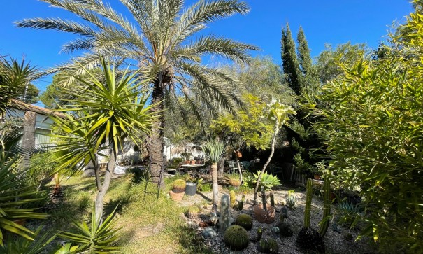 Sale - Detached Villa -
Orihuela Costa - Lomas De Cabo Roig