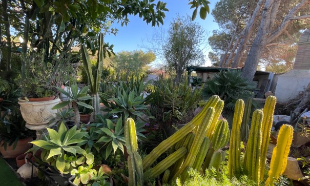 Sale - Detached Villa -
Orihuela Costa - Lomas De Cabo Roig