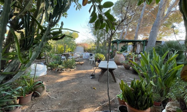 Sale - Detached Villa -
Orihuela Costa - Lomas De Cabo Roig