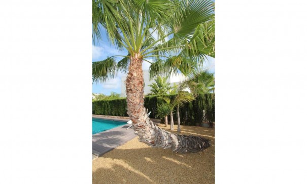 Herverkoop - Vrijstaande Villa -
Rojales - Cuidad Quesada