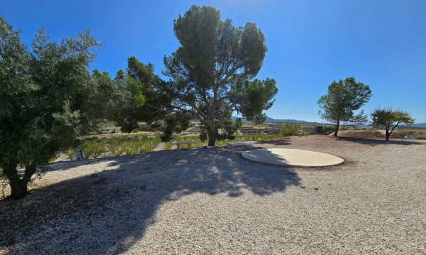 Sale - Finca Country Property -
La Zarza