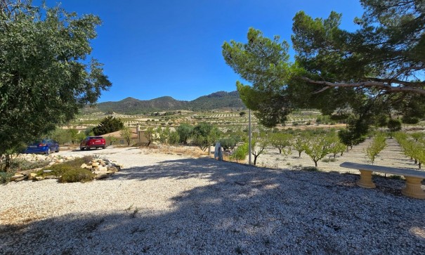 Sale - Finca Country Property -
La Zarza