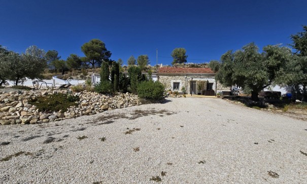 Sale - Finca Country Property -
La Zarza