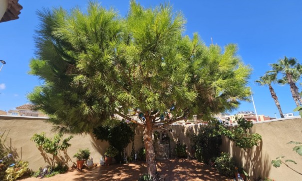 Sale - Villa -
Torrevieja - Torre la mata