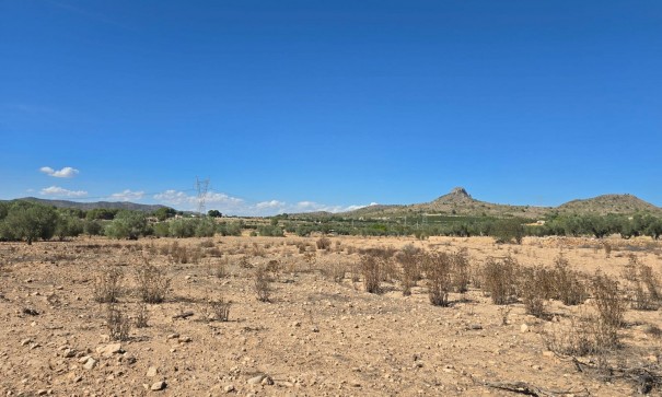 Perceel Grond - Herverkoop - Salinas -
                Salinas