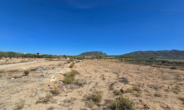 Återförsäljning - Vomt Mark -
Salinas