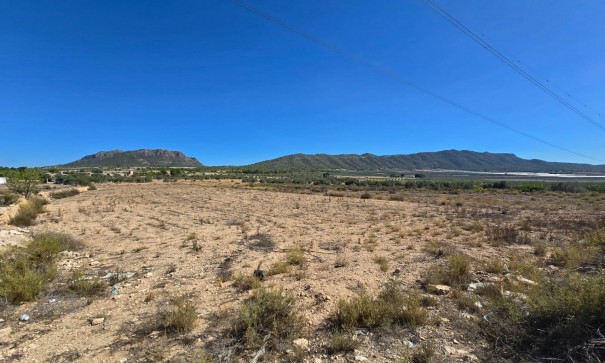 Återförsäljning - Vomt Mark -
Salinas