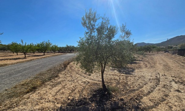 Herverkoop - Perceel Grond -
Salinas