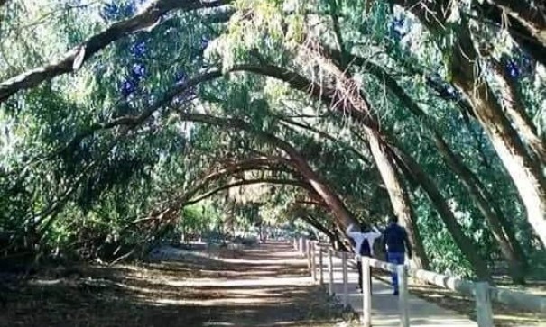 New Build - Wohnung Appartement -
Torrevieja - Altos del Sol