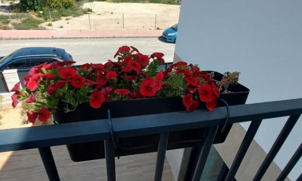 Sale - Detached Villa -
Ciudad Quesada - Rojales - Ciudad Quesada