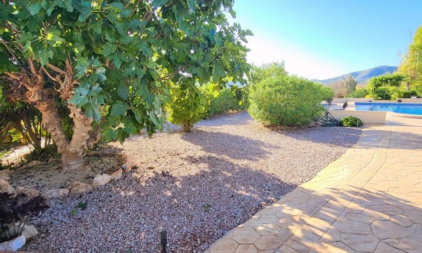 Sale - Detached Villa -
La Romana