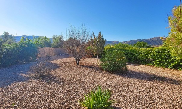 Sale - Detached Villa -
La Romana