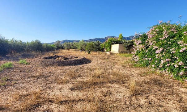 Sale - Detached Villa -
La Romana