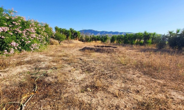 Sale - Detached Villa -
La Romana