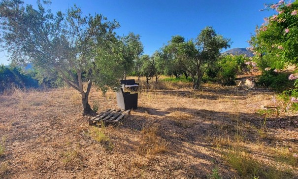 Sale - Detached Villa -
La Romana