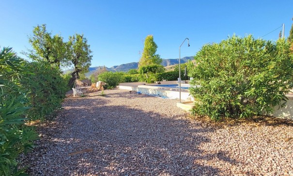 Sale - Detached Villa -
La Romana