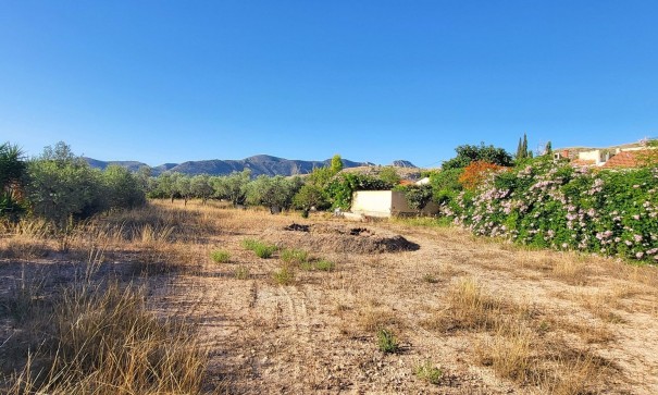 Sale - Detached Villa -
La Romana