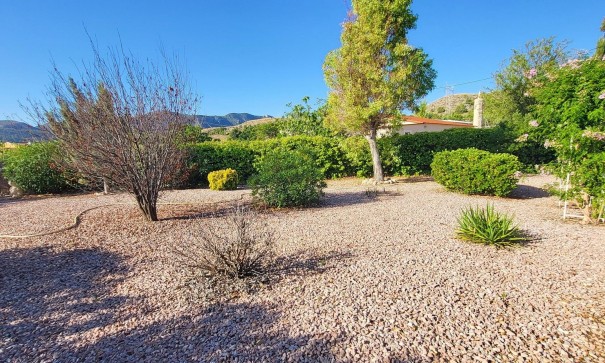 Sale - Detached Villa -
La Romana