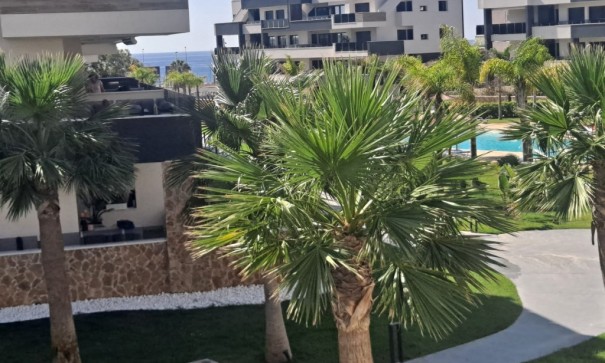Resale - Wohnung Appartement -
Playa Flamenca