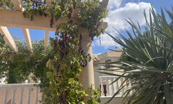 Återförsäljning - Fristående villa -
Algorfa