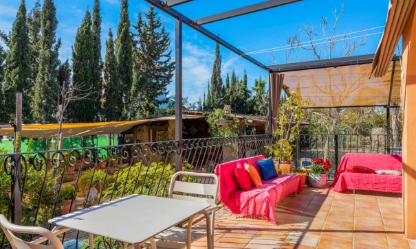 Sprzedaż - Finca nieruchomość wiejska -
Catral