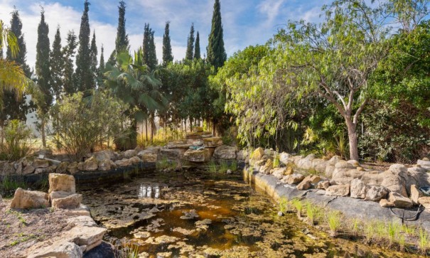 Sprzedaż - Finca nieruchomość wiejska -
Catral