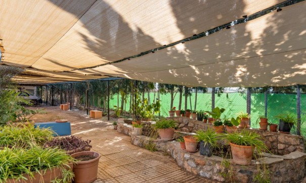 Sprzedaż - Finca nieruchomość wiejska -
Catral