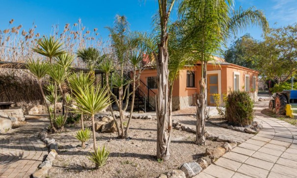 Sprzedaż - Finca nieruchomość wiejska -
Catral