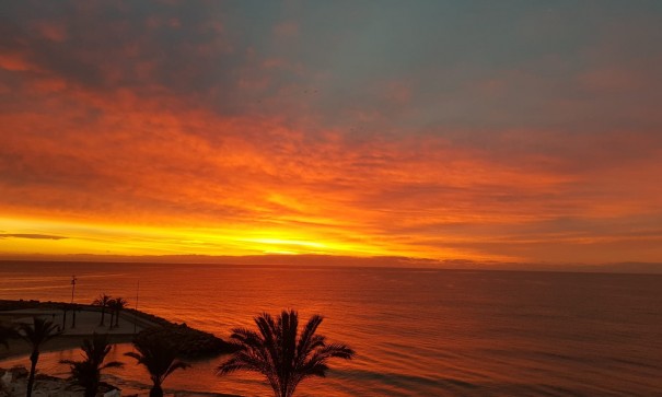 Sale - Apartment Flat -
Torrevieja - Playa del Cura